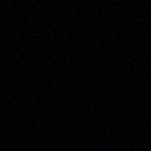 Meet your Posher, Oscar